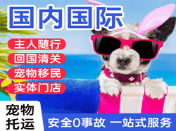 百色空运代理国际宠物托运 【国
